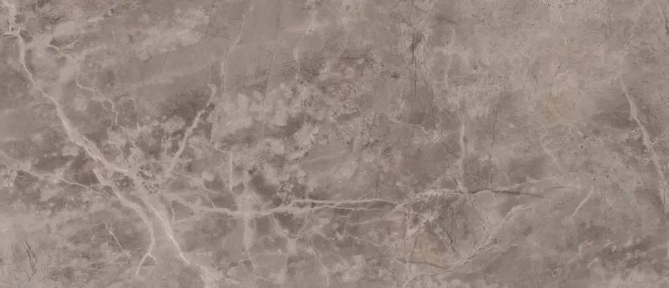 FIOR DI BOSCO MATT 60x120